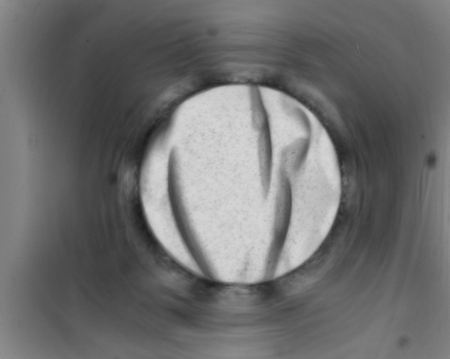 X0000100400123200807032023