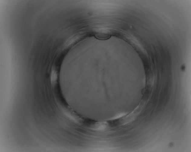 X0000100400124200807032023