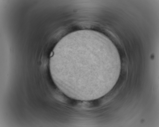 X0000100400125200807032023