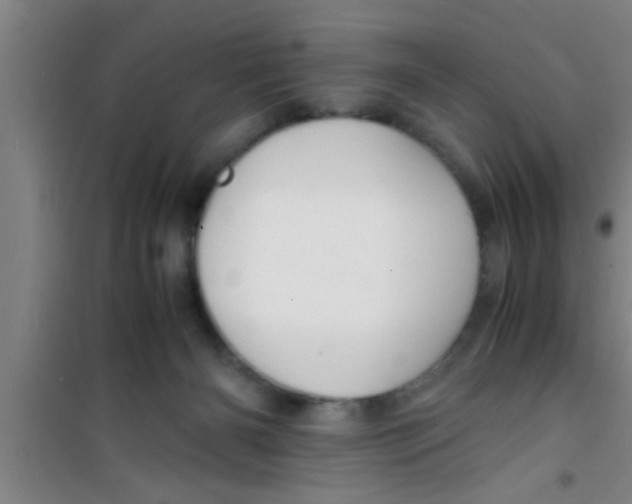 X0000100400126200807032023