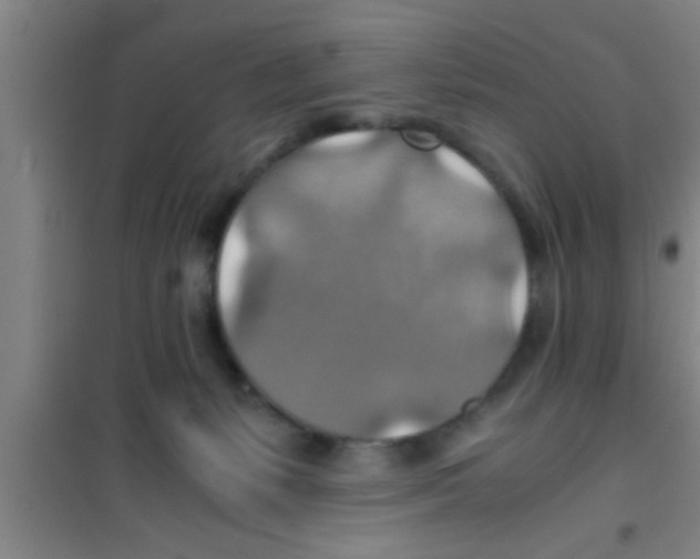X0000100400127200807032023