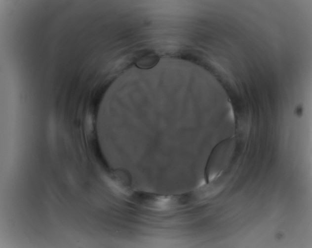 X0000100400130200807032023