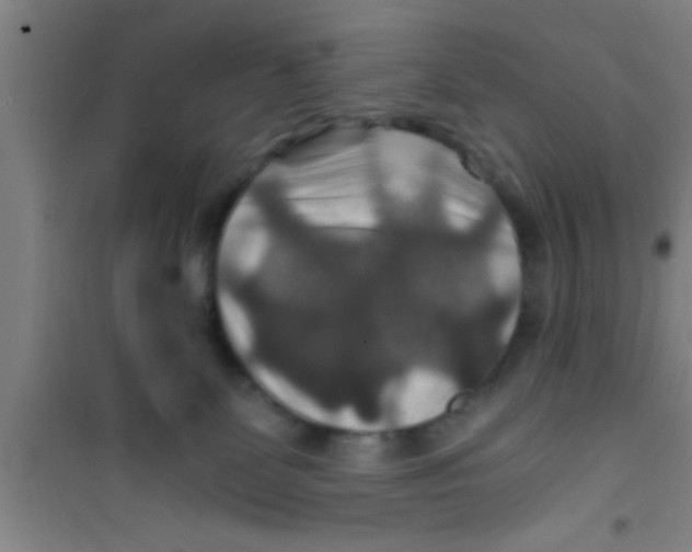 X0000100400131200807032023