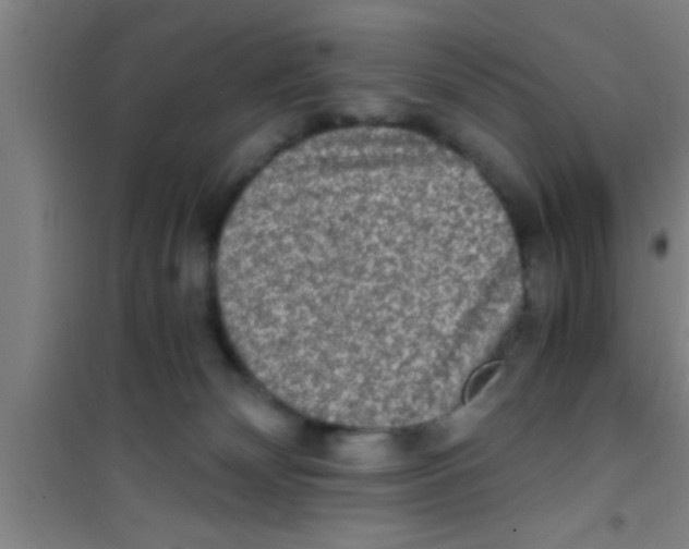 X0000100400132200807032023