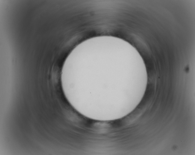 X0000100400133200807032023