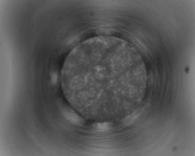 X0000100400134200807032023