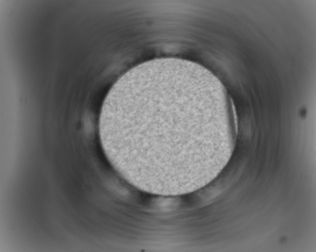 X0000100400135200807032023