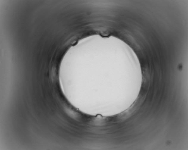 X0000100400136200807032023