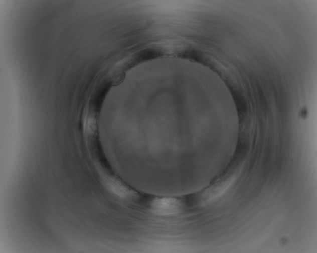X0000100400137200807032023