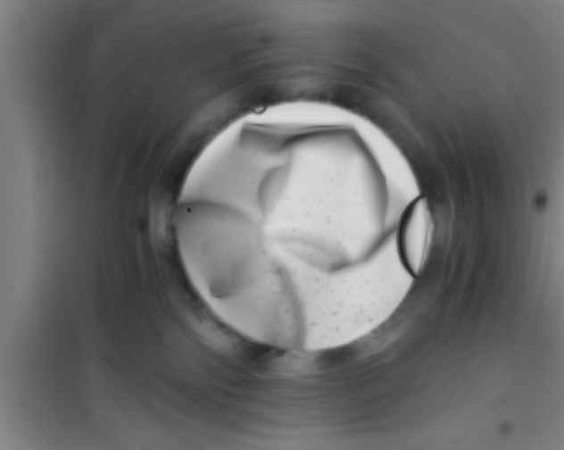 X0000100400138200807032023