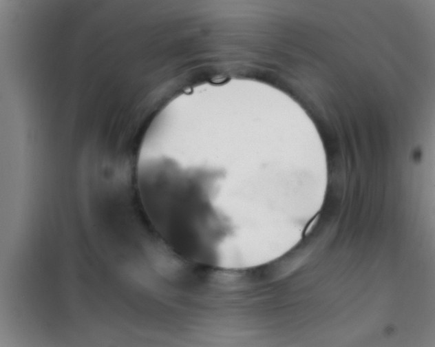 X0000100400139200807032023