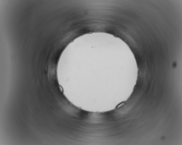 X0000100400141200807032023