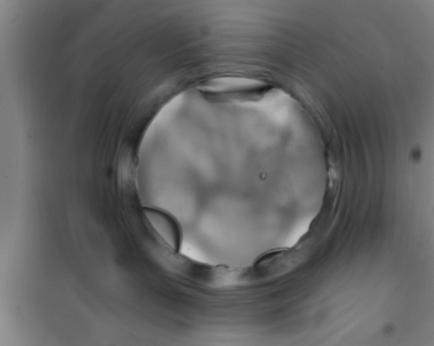 X0000100400143200807032023