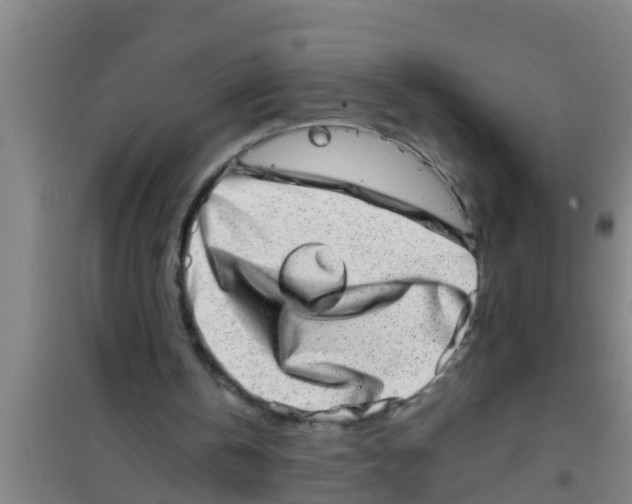 X0000100400146200807032022