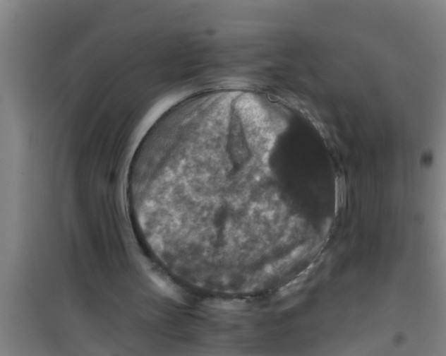 X0000100400147200807032022