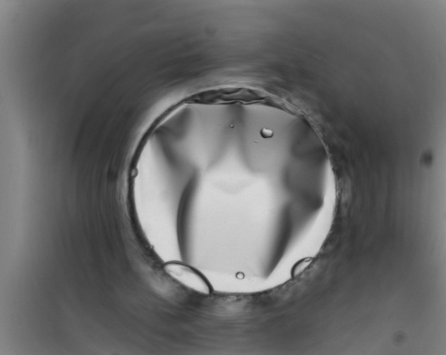 X0000100400148200807032022