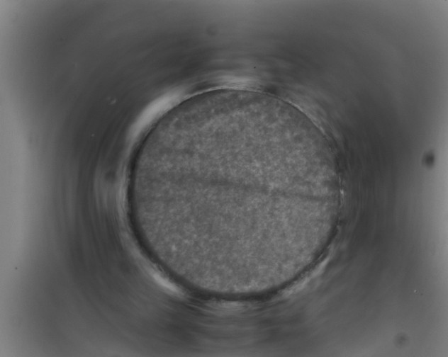 X0000100400149200807032022