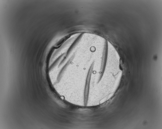 X0000100400150200807032022