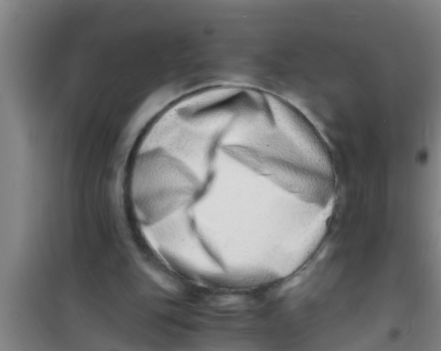 X0000100400151200807032022
