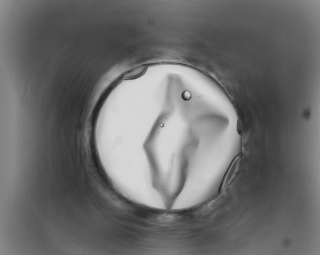 X0000100400152200807032022