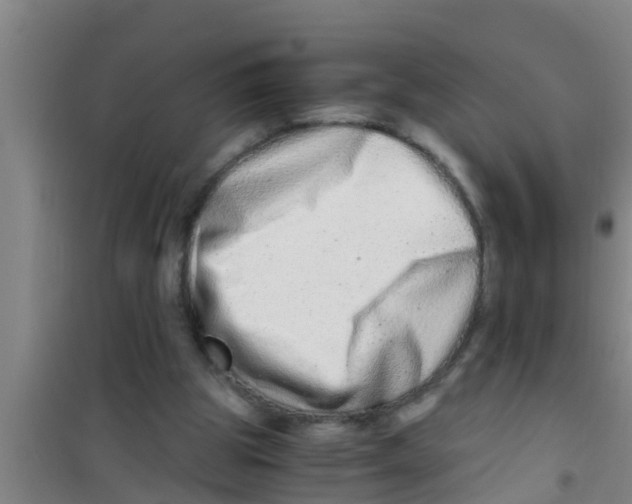 X0000100400153200807032022