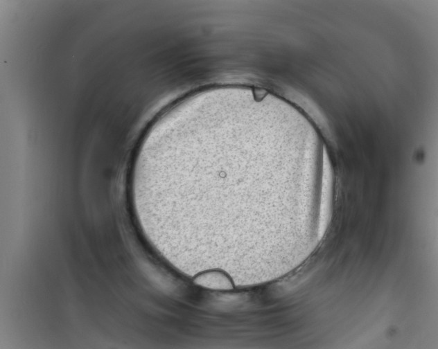 X0000100400155200807032022
