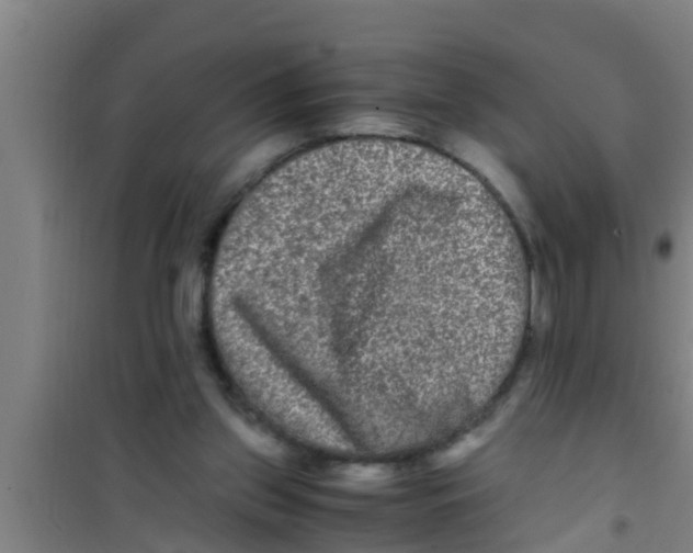X0000100400157200807032022