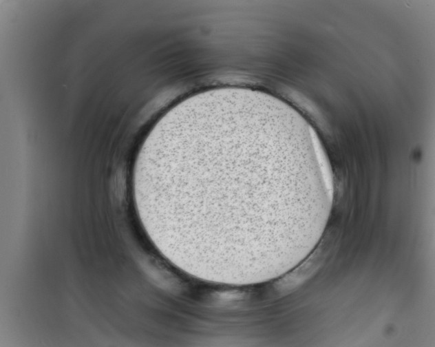 X0000100400158200807032022