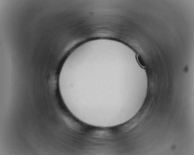 X0000100400160200807032022