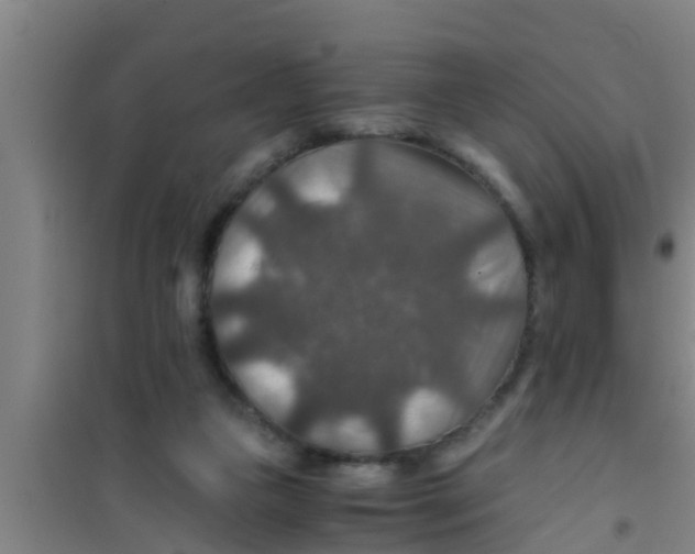 X0000100400161200807032022