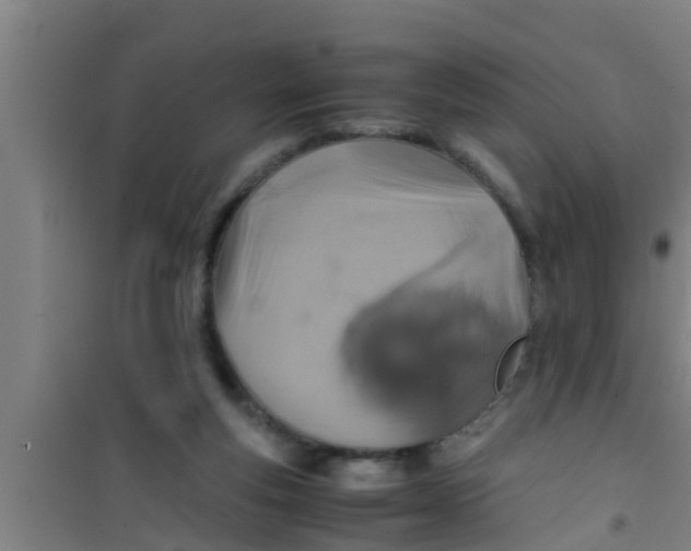 X0000100400163200807032022