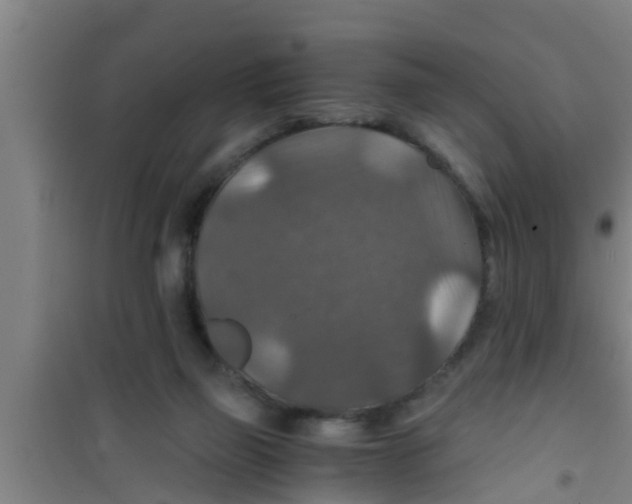 X0000100400165200807032022