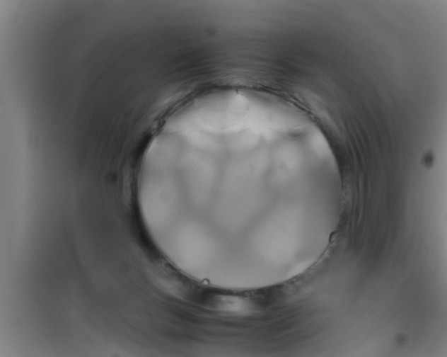 X0000100400167200807032022