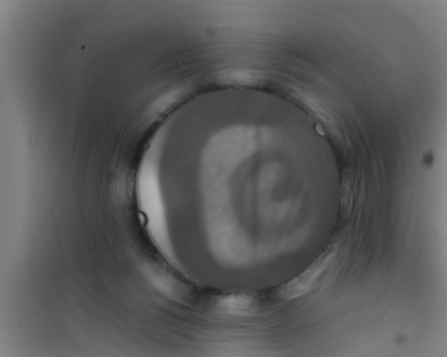 X0000100400168200807032022