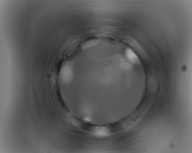 X0000100400169200807032022