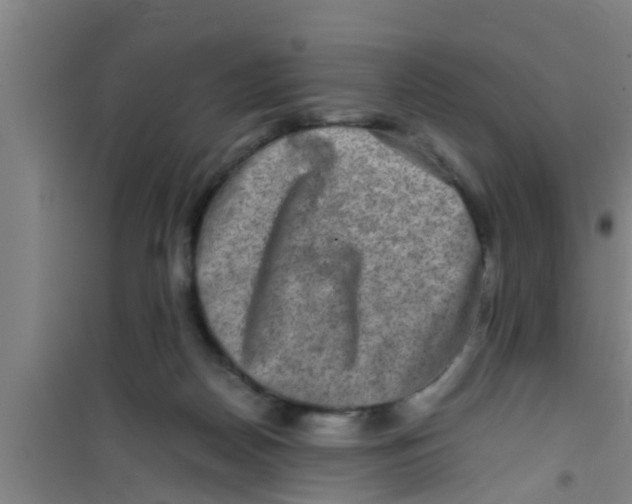 X0000100400170200807032022