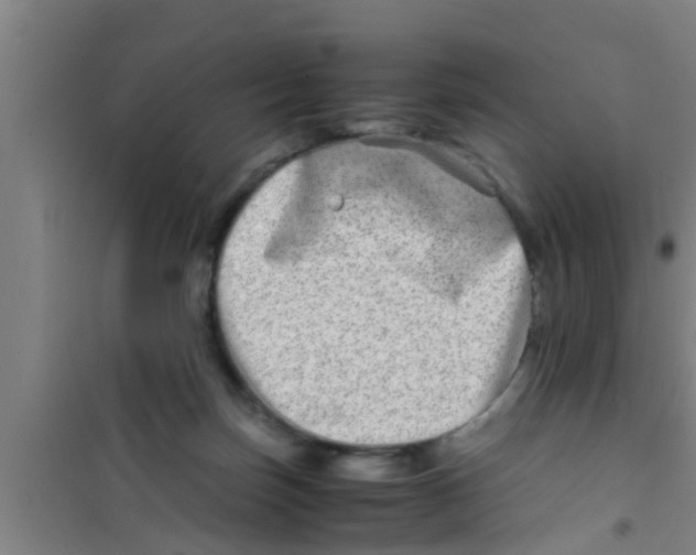 X0000100400171200807032022