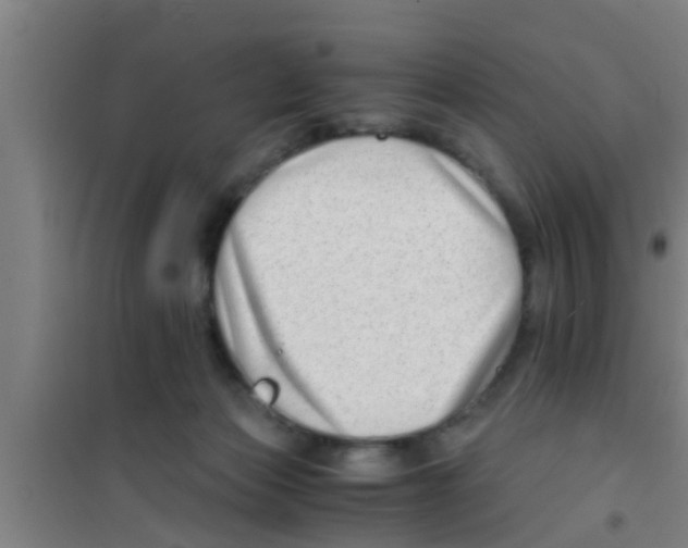 X0000100400173200807032022