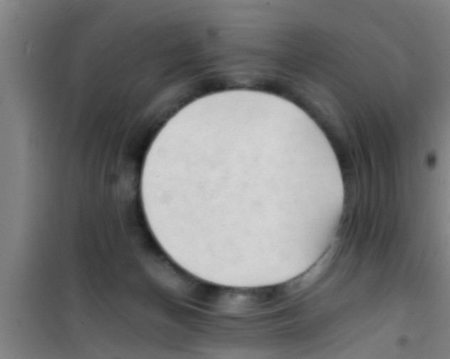 X0000100400174200807032022