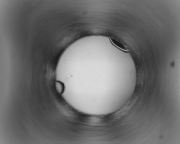 X0000100400176200807032022