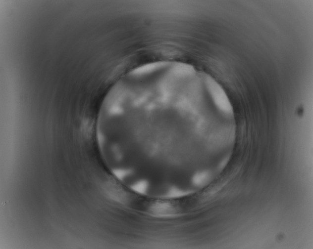 X0000100400177200807032022
