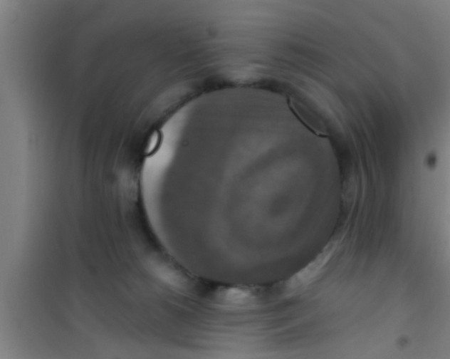 X0000100400180200807032022