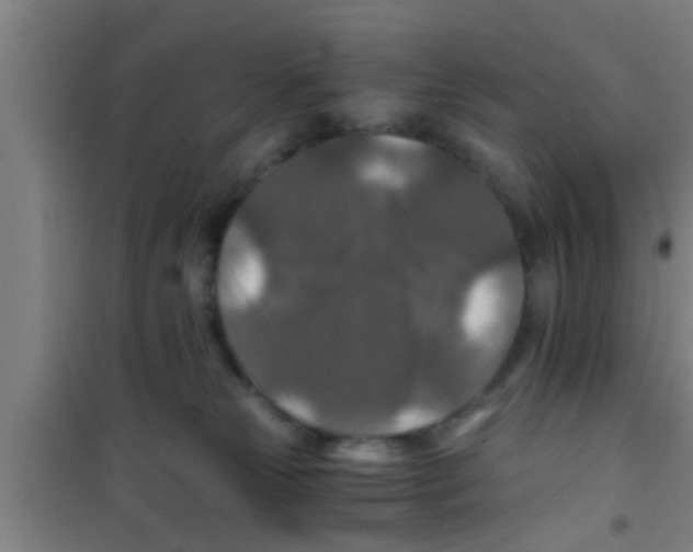 X0000100400181200807032022