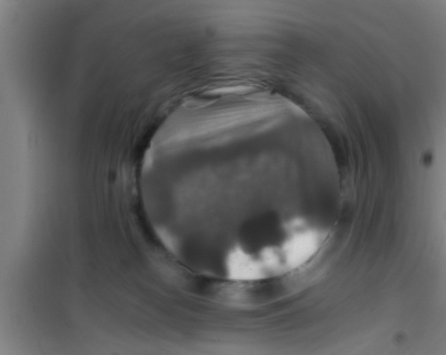 X0000100400182200807032022