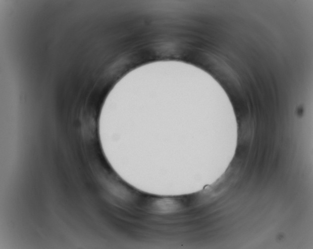 X0000100400183200807032022
