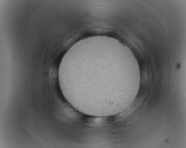 X0000100400184200807032022