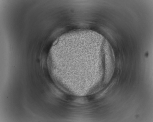 X0000100400185200807032022