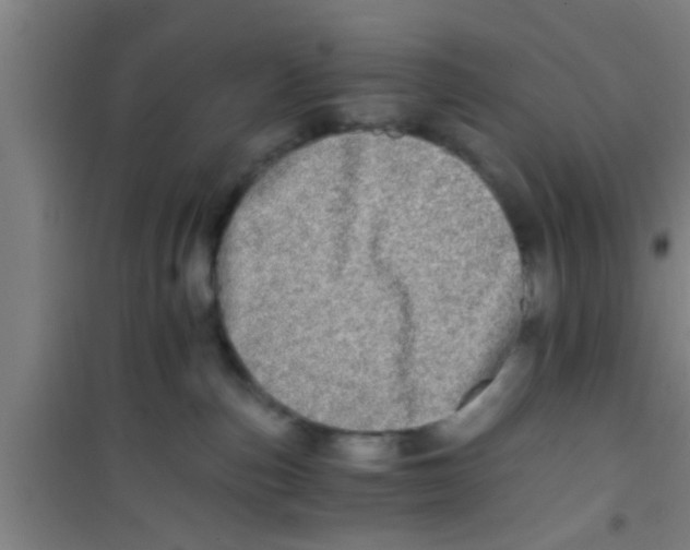 X0000100400187200807032022