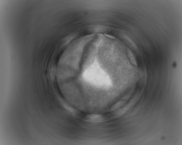 X0000100400189200807032023