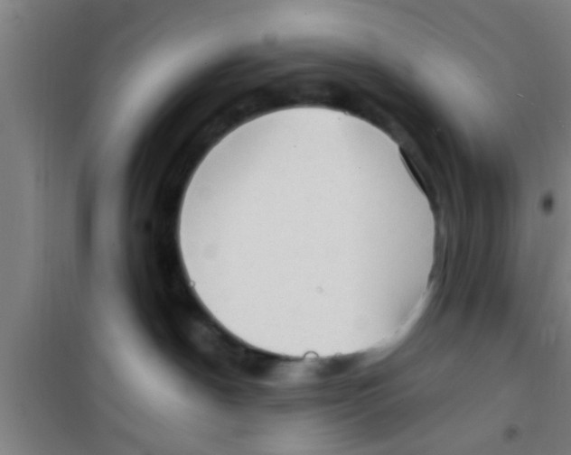X0000100400190200807032023